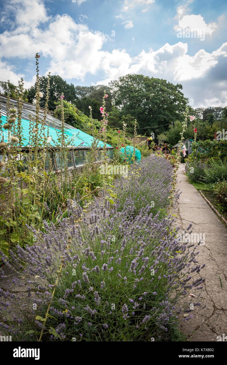 The English walled garden of Quex House near Birchington-on-Sea in Kent, UK Stock Photo