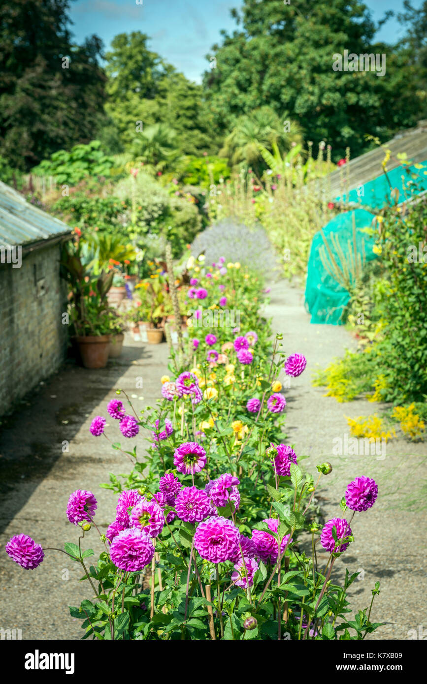 The English walled garden of Quex House near Birchington-on-Sea in Kent, UK Stock Photo