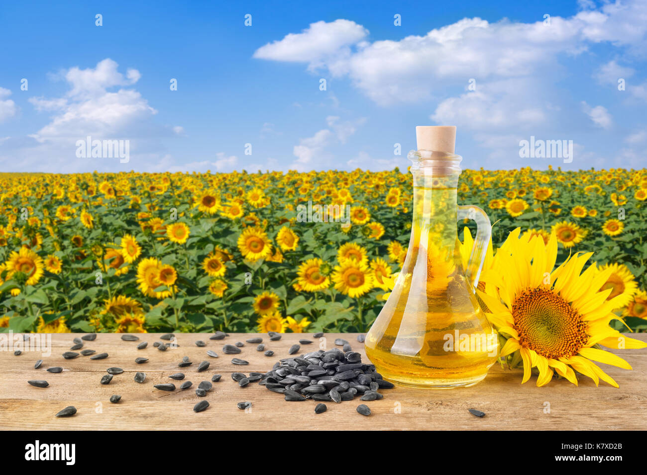 sunflower oil in glass bottle, pile of sunflower seeds, fresh