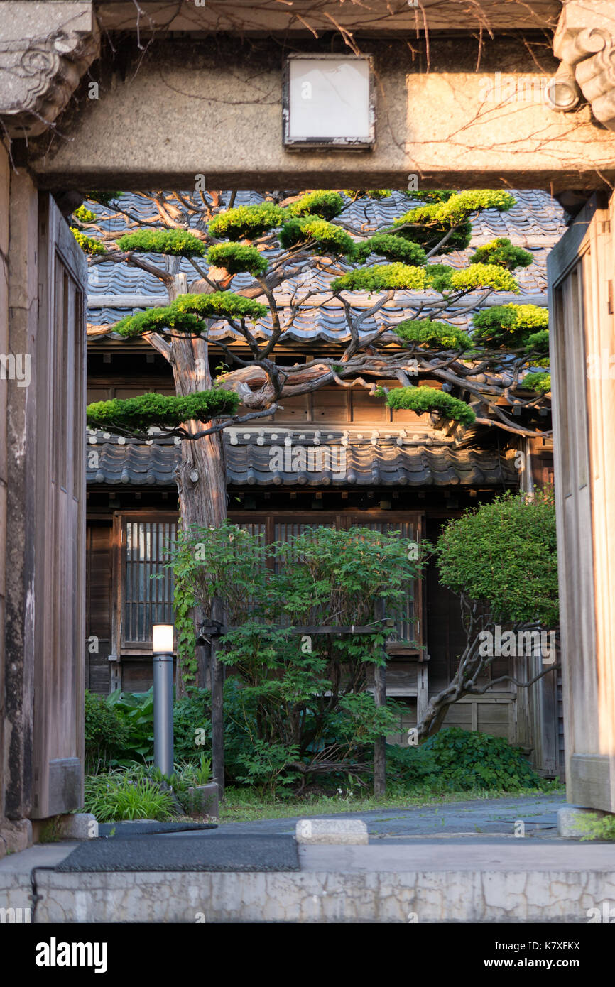 Traditional Japanese gated entrance way leading to very old wooden Japanese home in Otaru Japan.  Manicured cypress trees, shrubs and flowers. Stock Photo