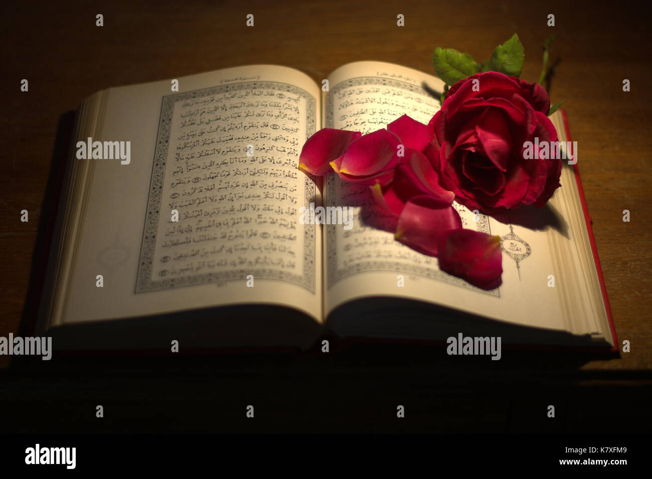 The sacred text of the Koran Stock Photo Alamy