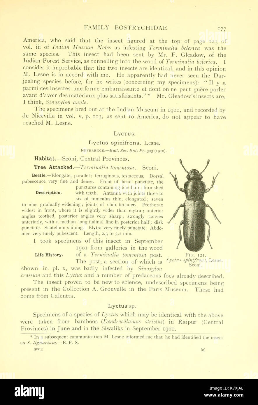 Indian forest insects of economic importance (Page 177) BHL9787400 Stock Photo