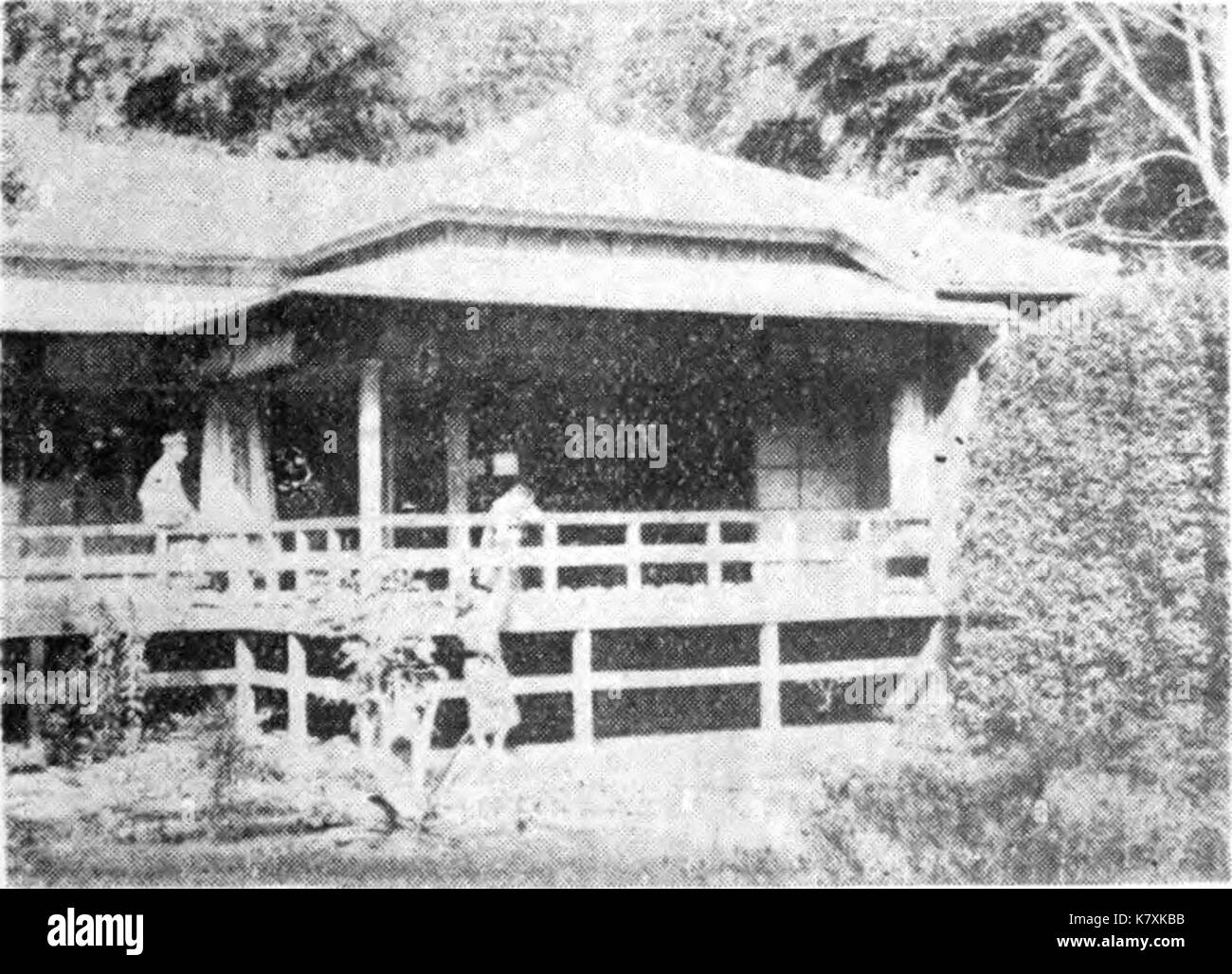 Scientific insect illustration Black and White Stock Photos & Images ...