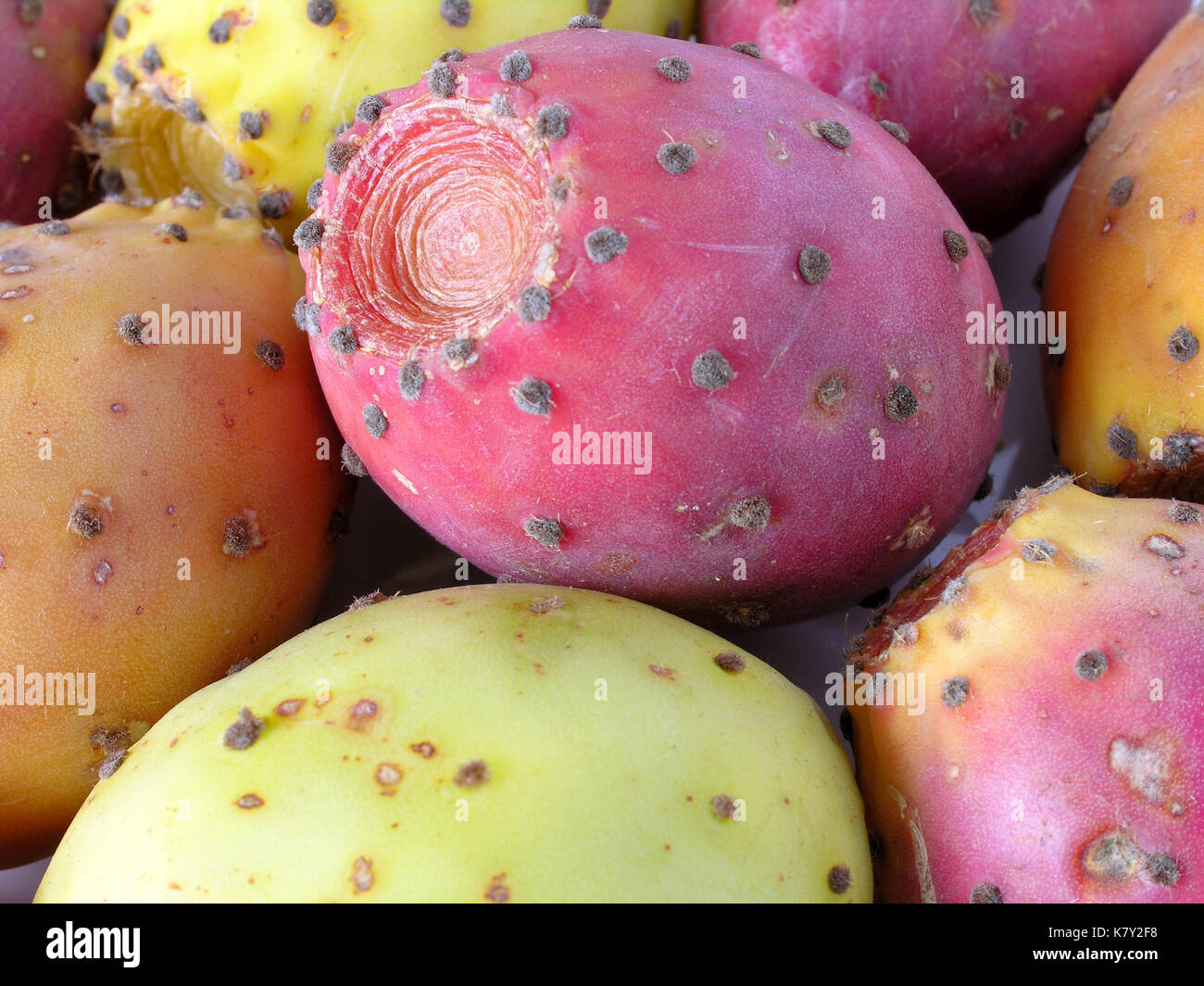 Prickly pear fruit hires stock photography and images Alamy