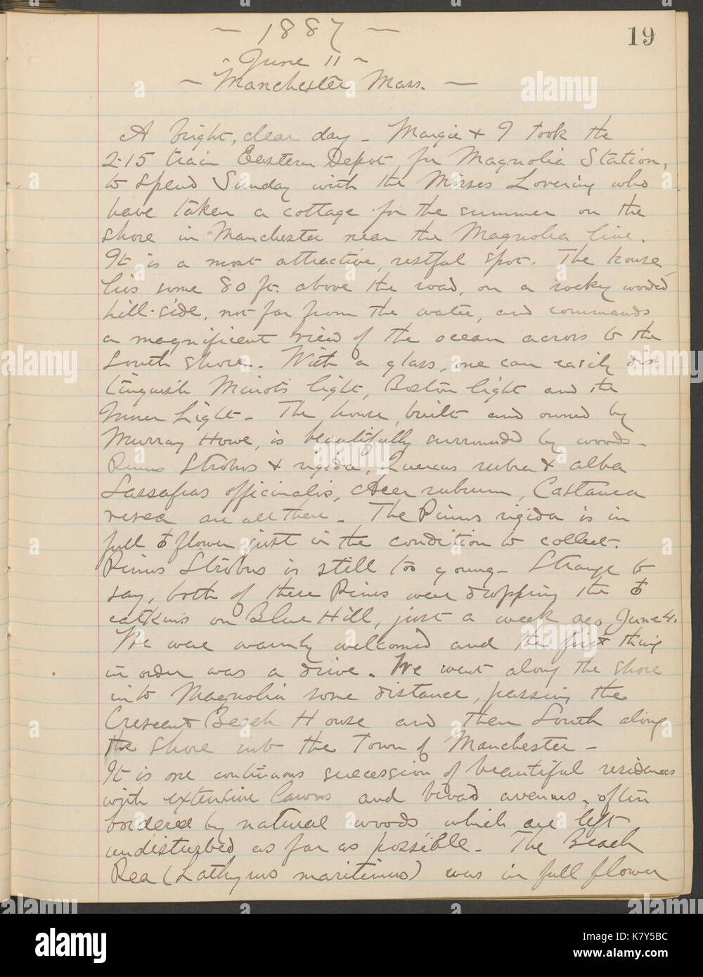 Journal, 1887 1890 (inclusive) (Page 19) BHL40346711 Stock Photo - Alamy