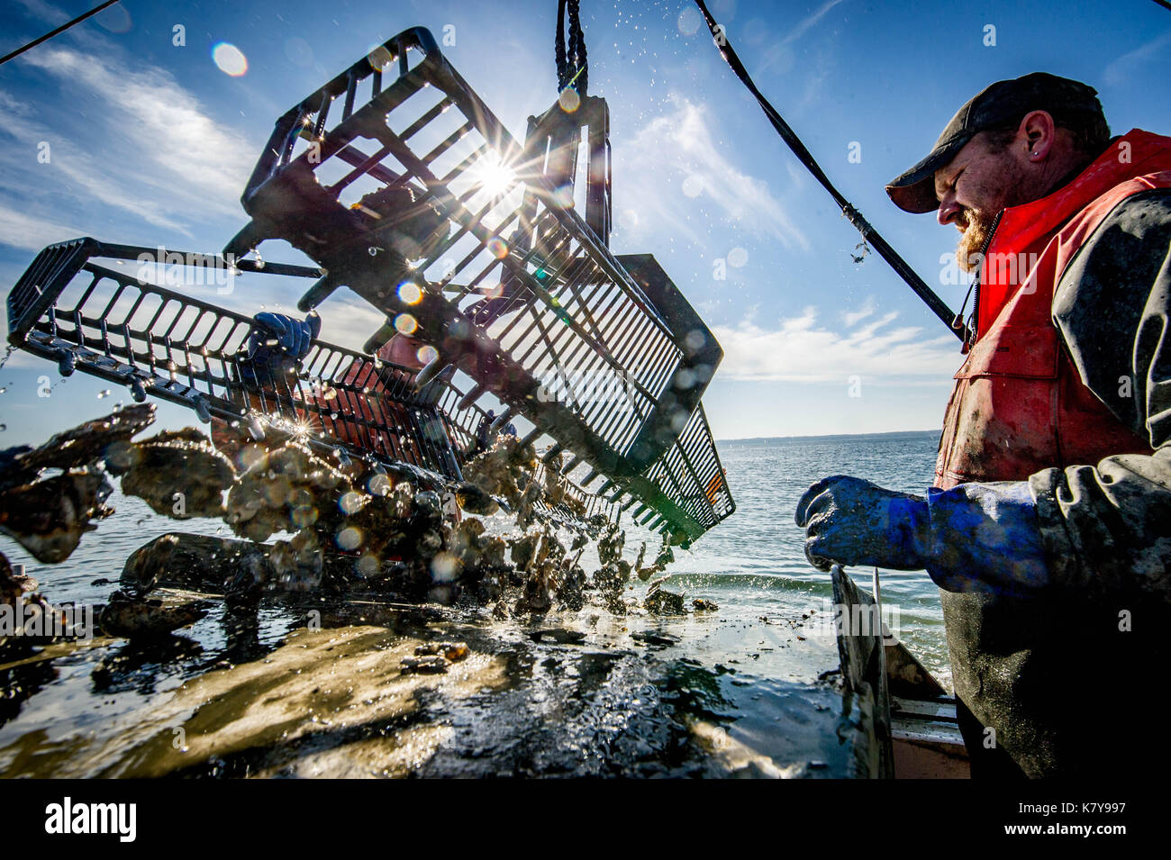 Dredge oyster hires stock photography and images Alamy