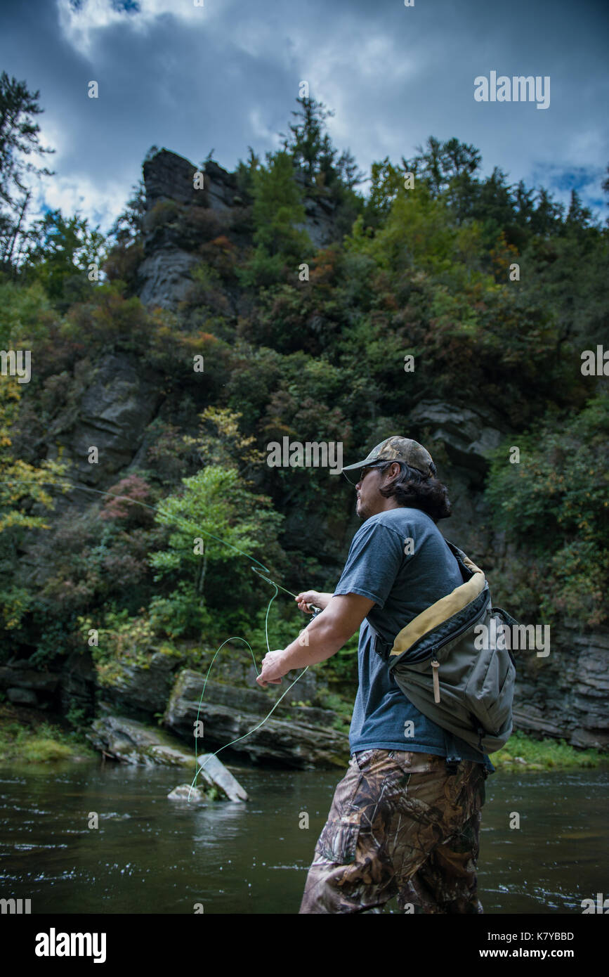 Bluegill carolina hires stock photography and images Alamy