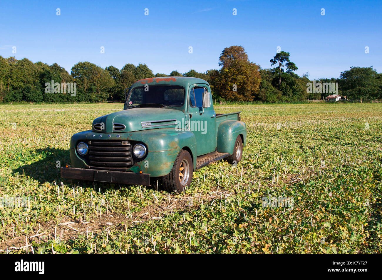 Antique Ford F-1 Truck with Wooden Spoke Wheels Sitting Out in a Field Stock Photo