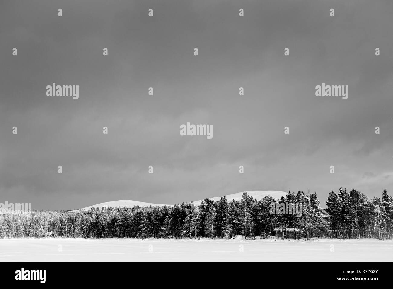 Winter forest, Finland. Stock Photo
