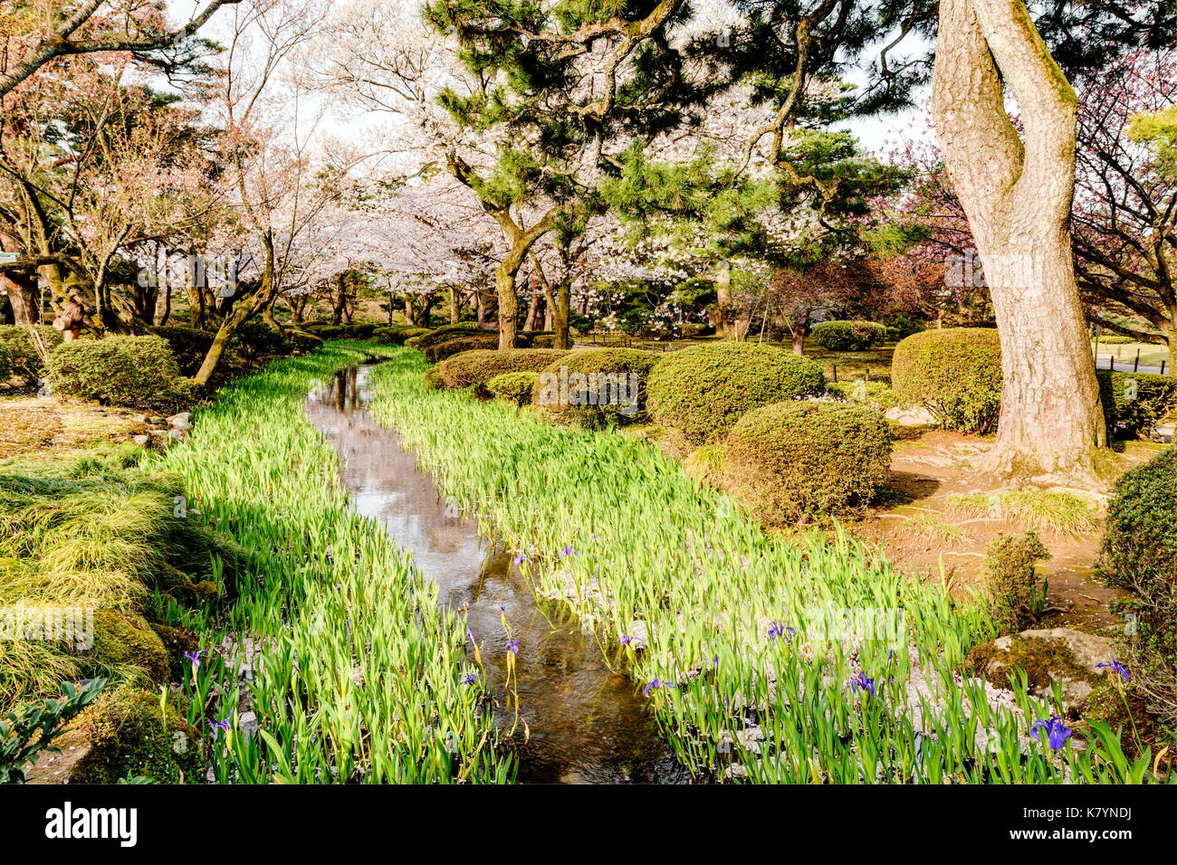 Japan, Kanazawa, Kenrokuen Garden one of the top three gardens in Japan