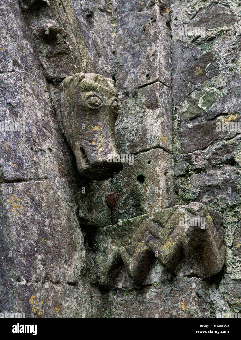 Beast head hoodmould stop & chevrons (zigzags) on arch of Norman (mid C12th) north transept of Ewenny Priory church, Vale of Glamorgan, South Wales. Stock Photo