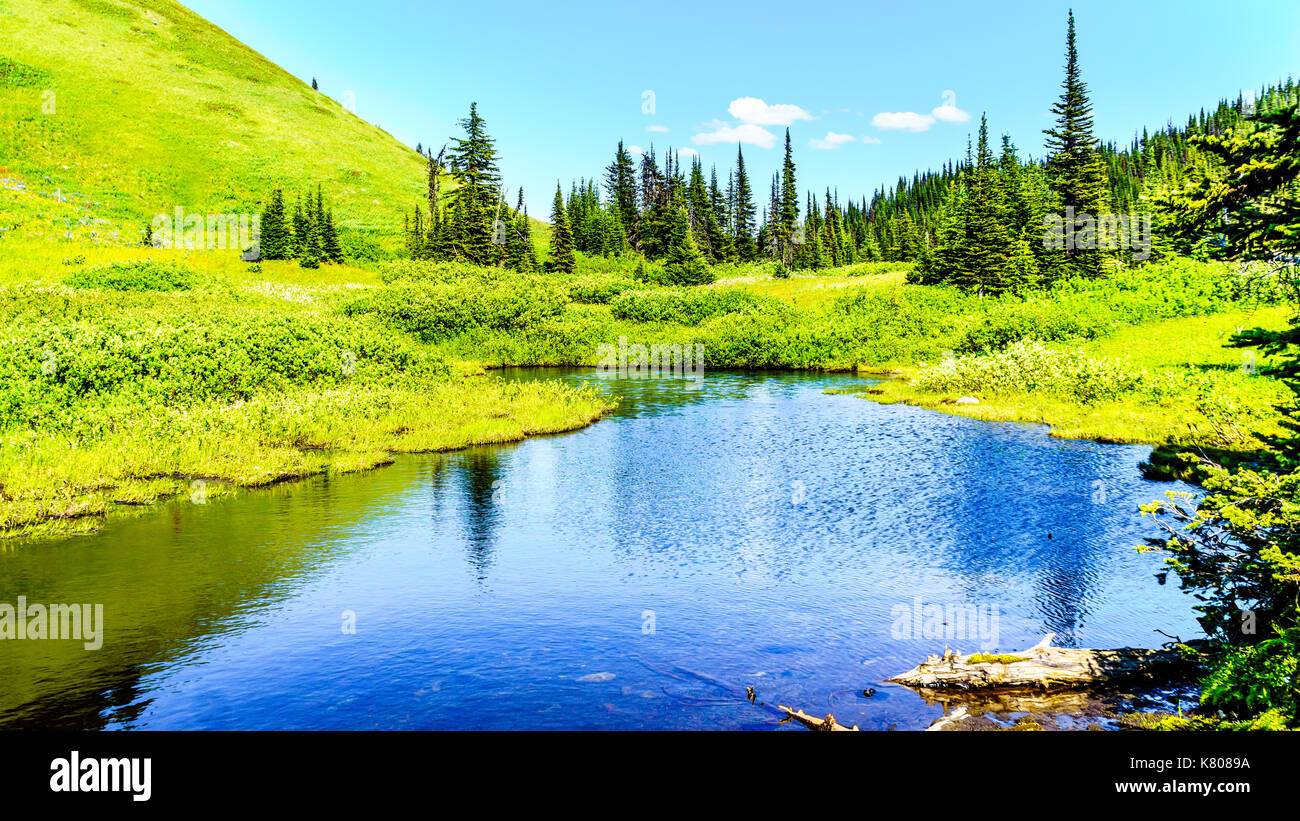 Small lake in the high alpine near the village of Sun Peaks in the Shuswap Highlands in central British Columbia Canada Stock Photo
