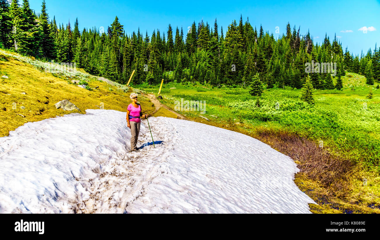 Senior woman hiking through a patch of snow surrounded by alpine meadows in the high alpine near the village of Sun Peaks in the Shuswap Highlands Stock Photo