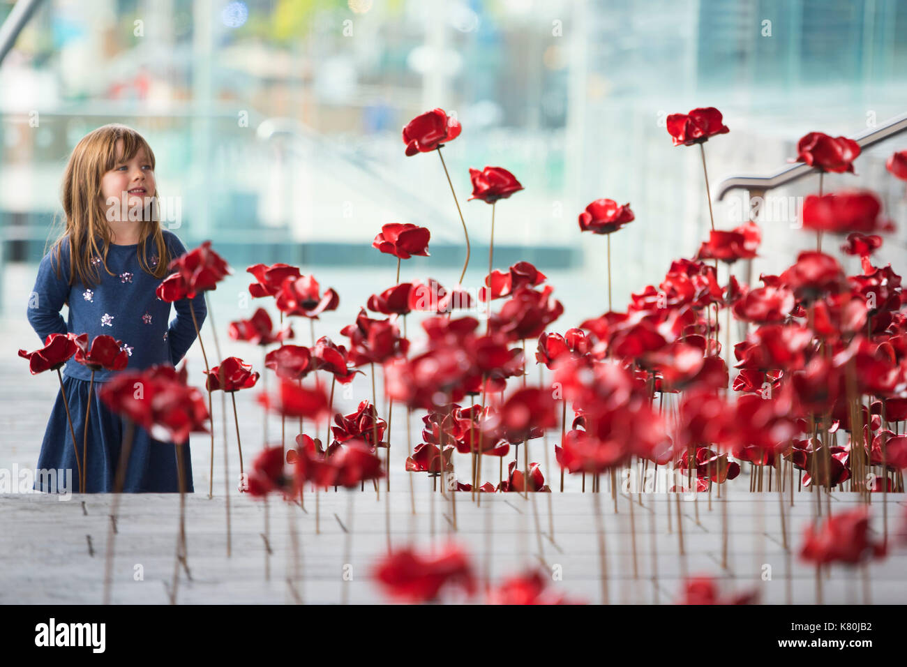 CARDIFF, WALES - AUGUST 07: Fiona Phillips looks on at the Weeping Window installation which marks the centenary of World War One and was unveiled at  Stock Photo