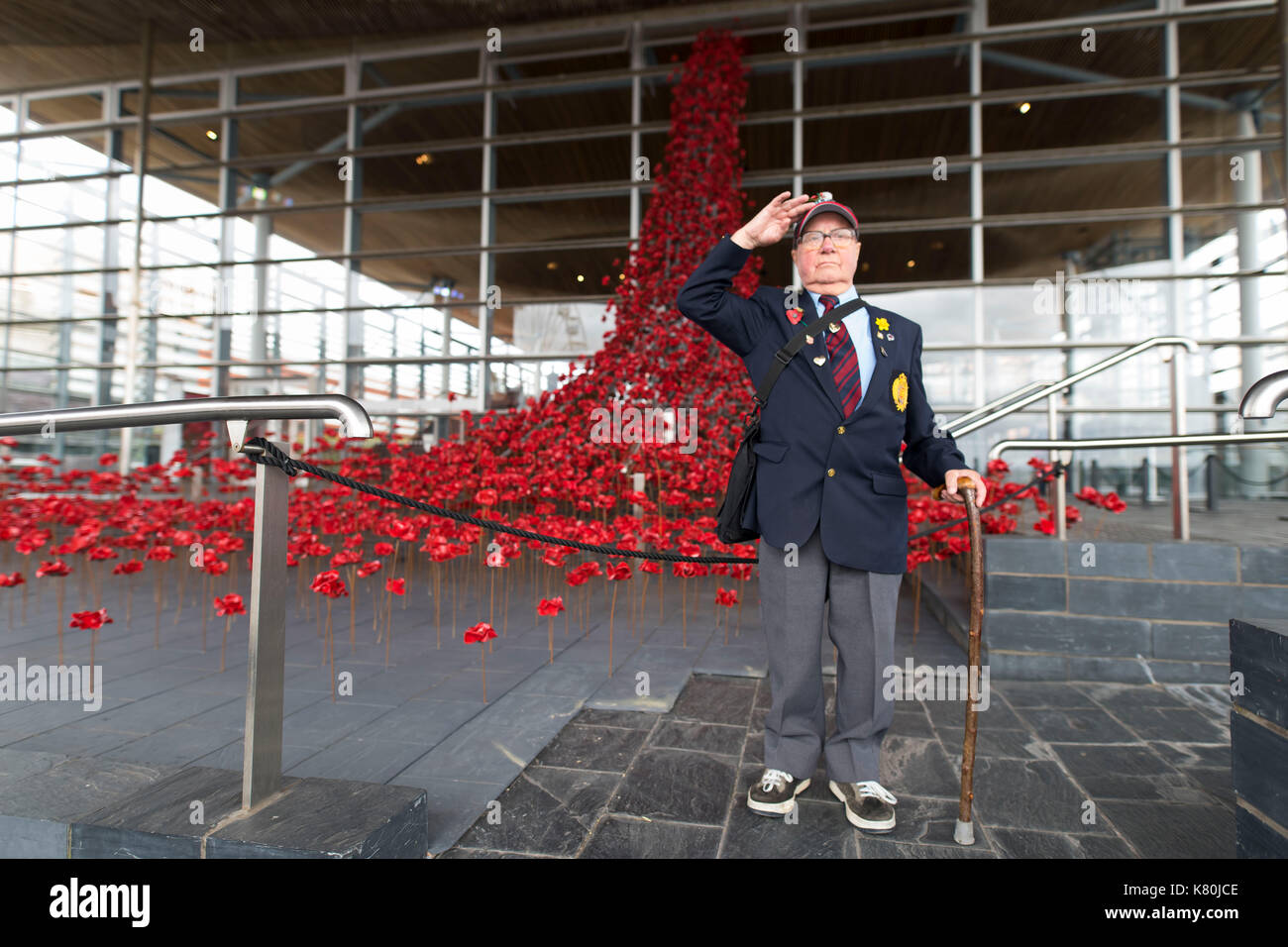 CARDIFF, WALES - AUGUST 07: Joseph Smith poses for a picture in front of the Weeping Window installation which marks the centenary of World War One an Stock Photo