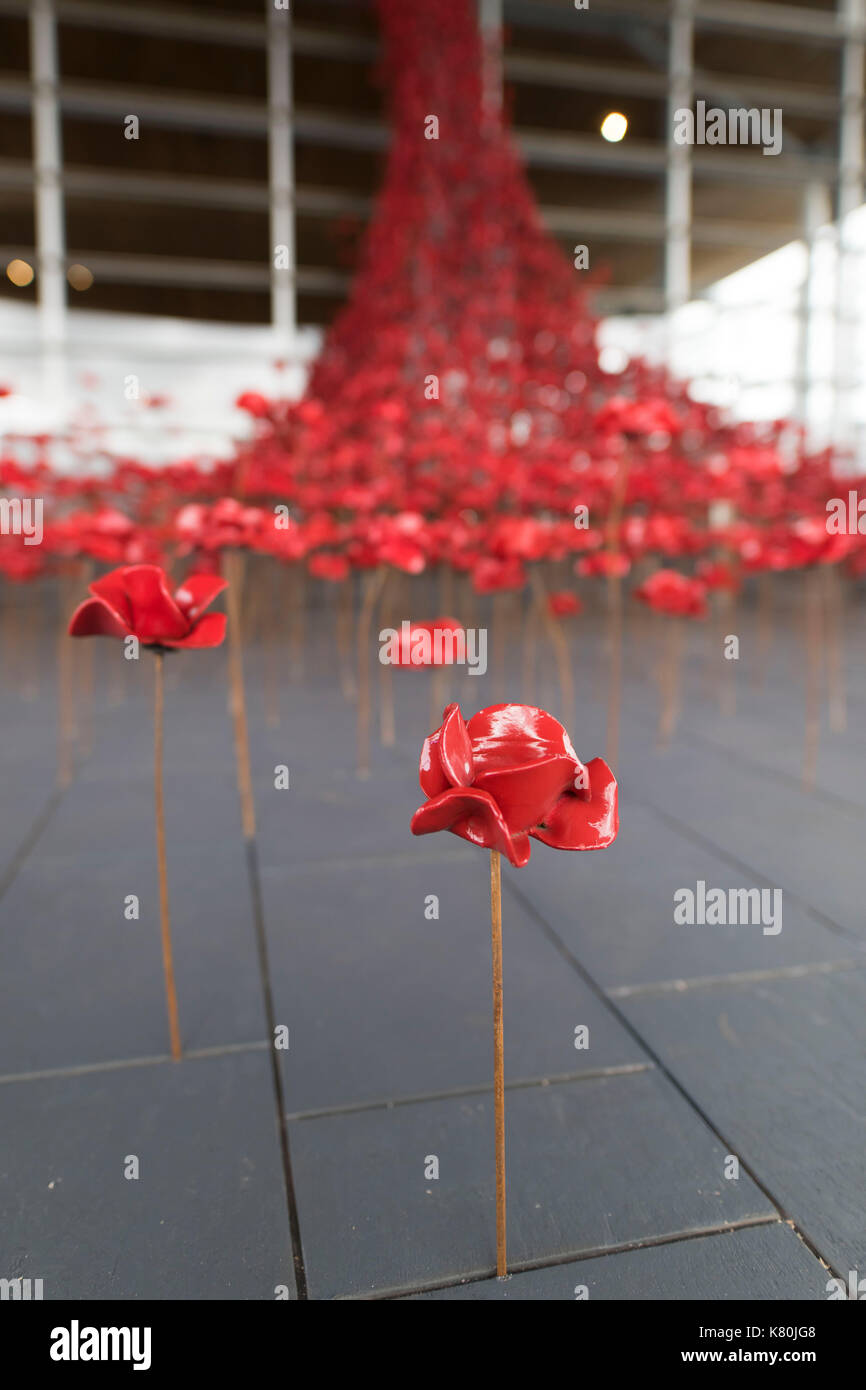 The Weeping Window installation at the Senedd Stock Photo