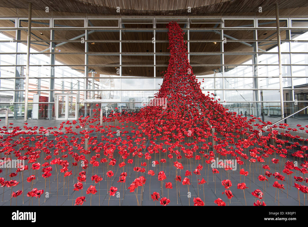 The Weeping Window installation at the Senedd Stock Photo