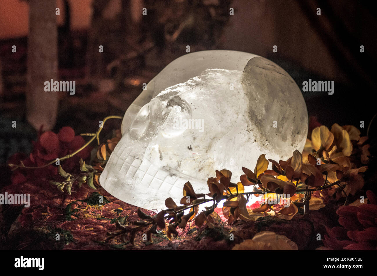 Max the ancient, world-famous Crystal Skull is displayed and ready for visitors and individual meditators at the Aquarian Bookstore in Richmond, VA. Stock Photo