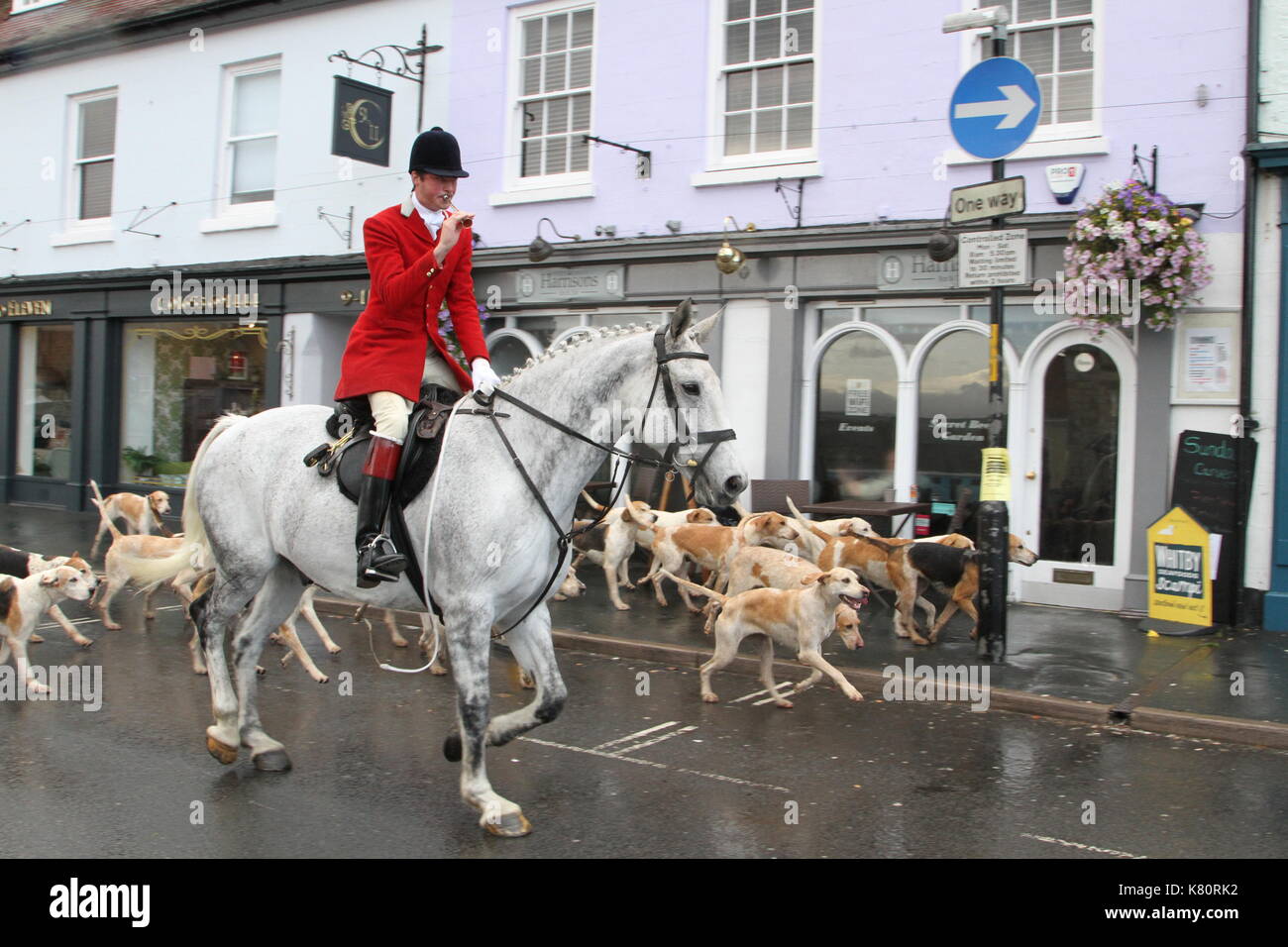 Middleton Fox Hounds parade in Malton Market Place, North Yorkshire Stock Photo