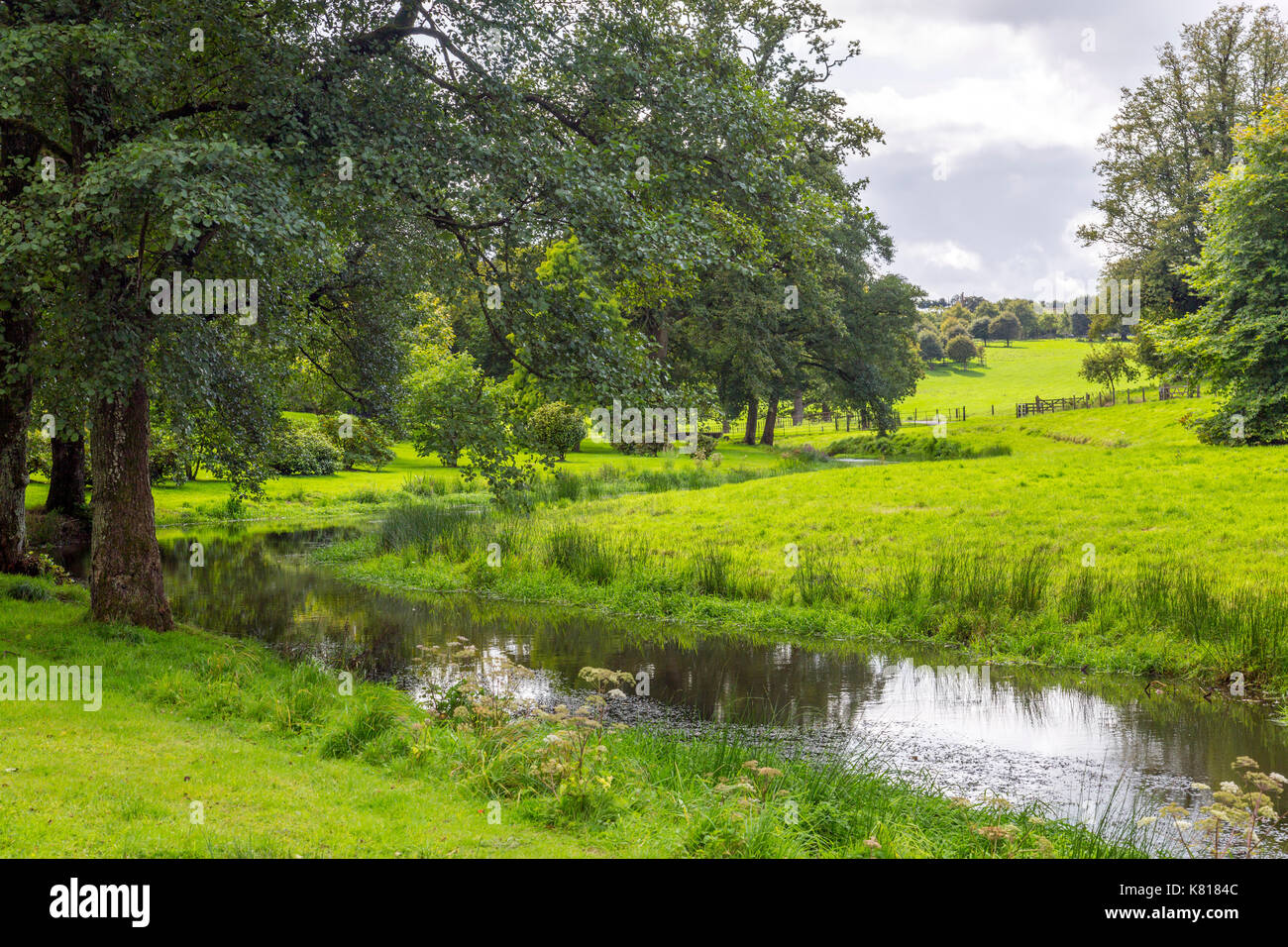 A tributary of the River Bray in the grounds of Castle Hill House and Gardens, near Filleigh, North Devon, England,UK Stock Photo