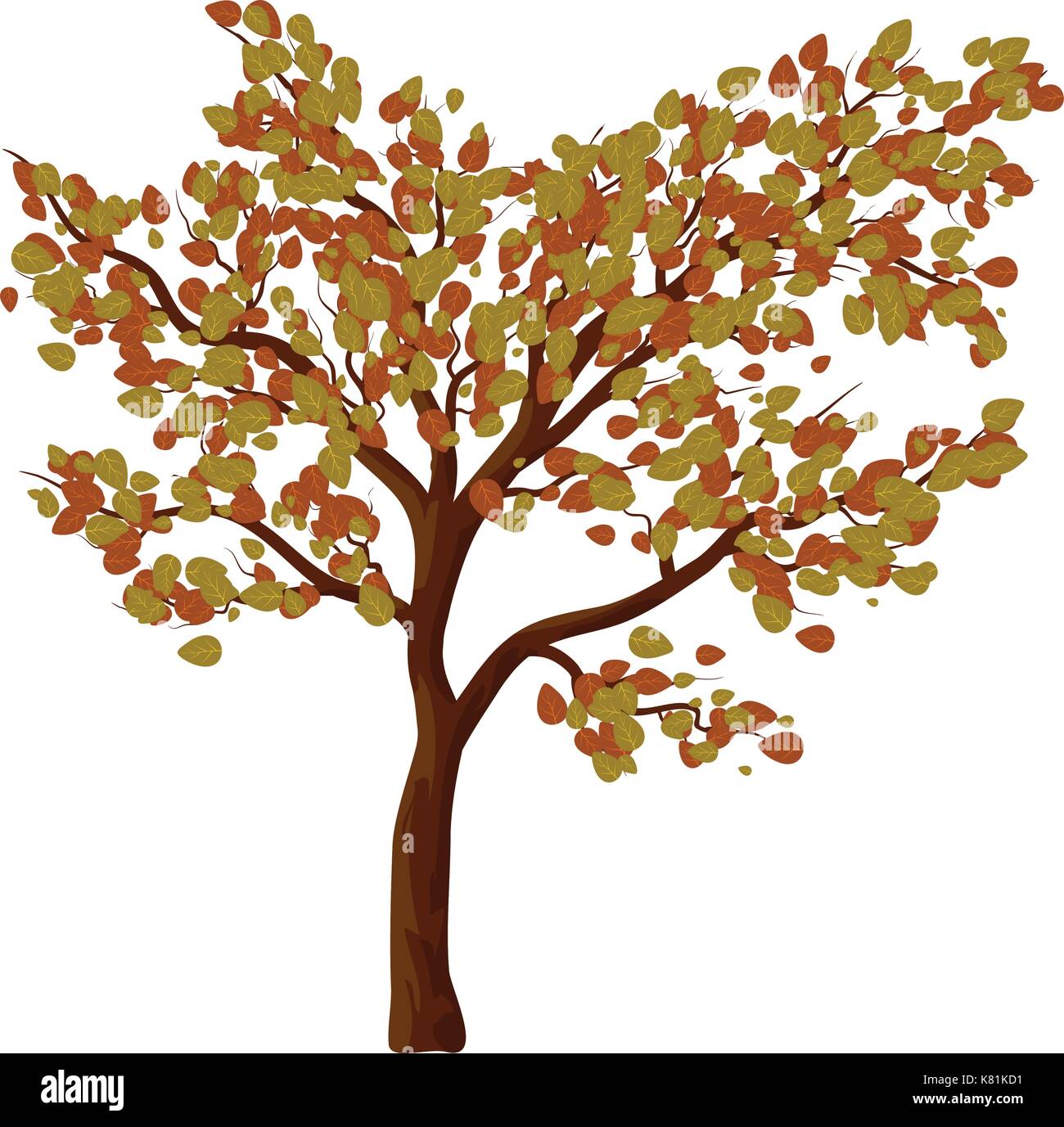 Green tree isolated vector symbol icon design. Beautiful illustration ...
