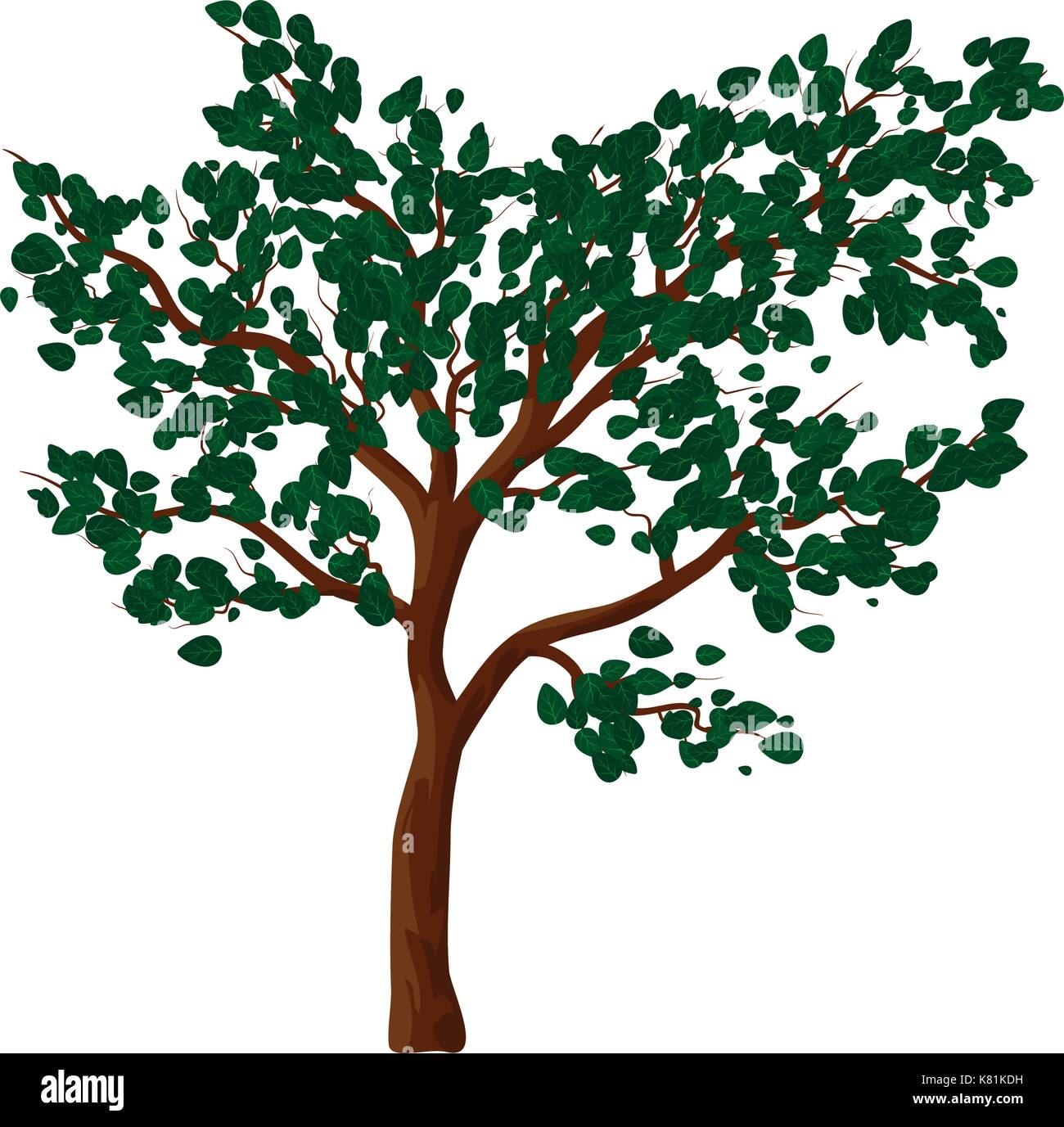 Green tree isolated vector symbol icon design. Beautiful illustration ...