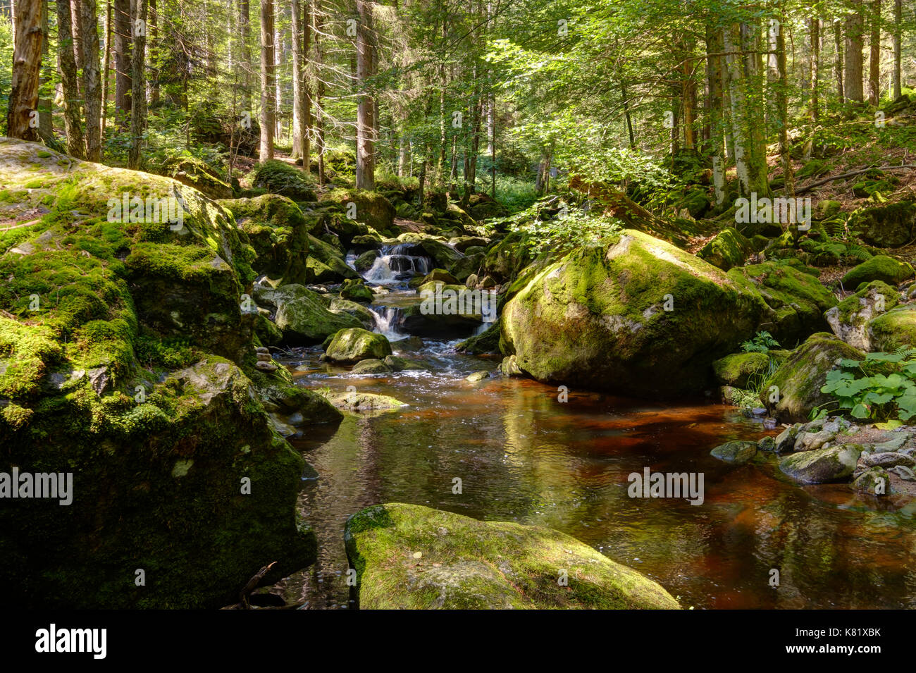 Steinklamm, Große Ohe, Spiegelau, Bavarian Forest, Lower Bavaria, Bavaria, Germany Stock Photo