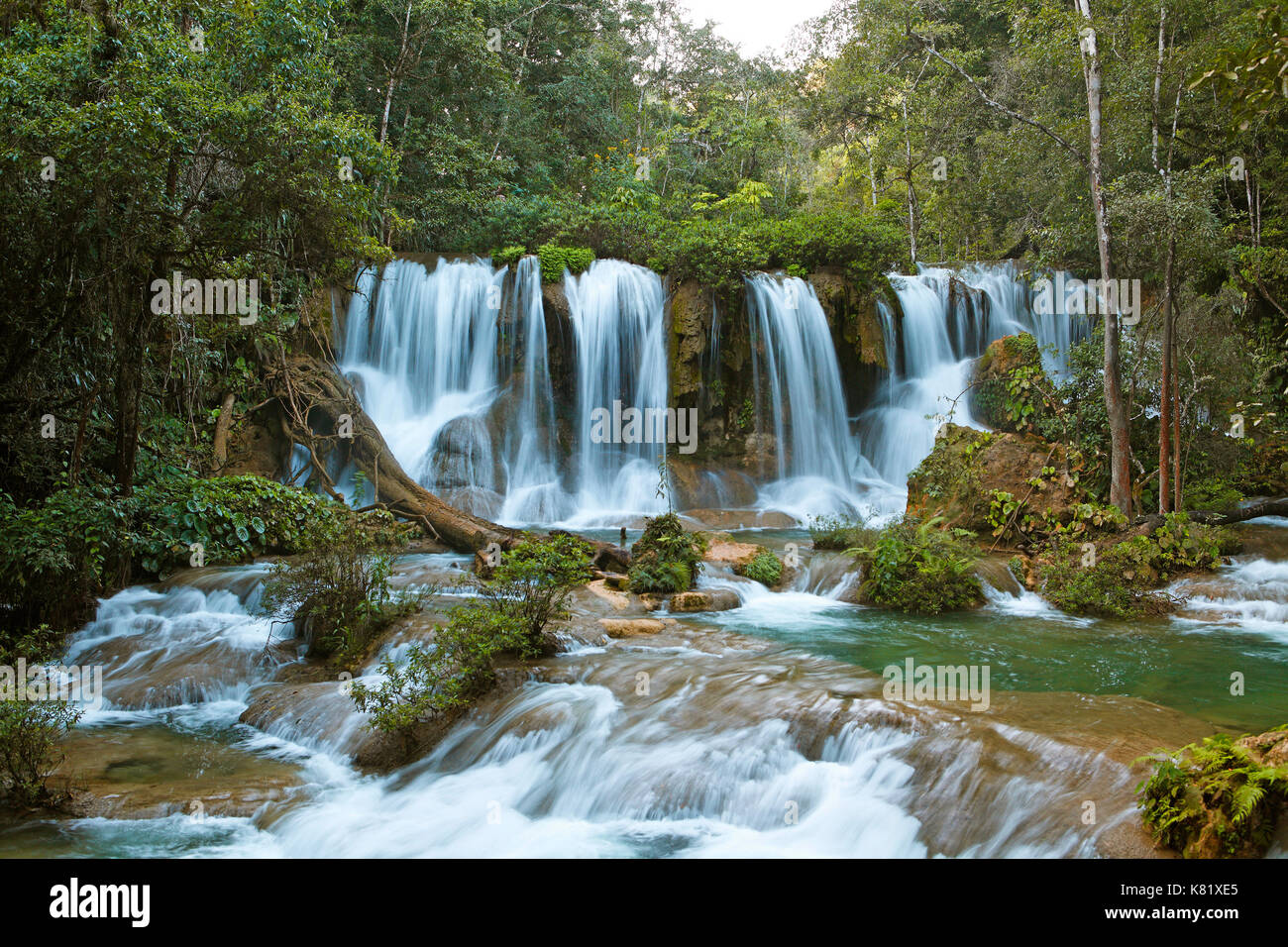 Selva´s hi-res stock photography and images - Alamy