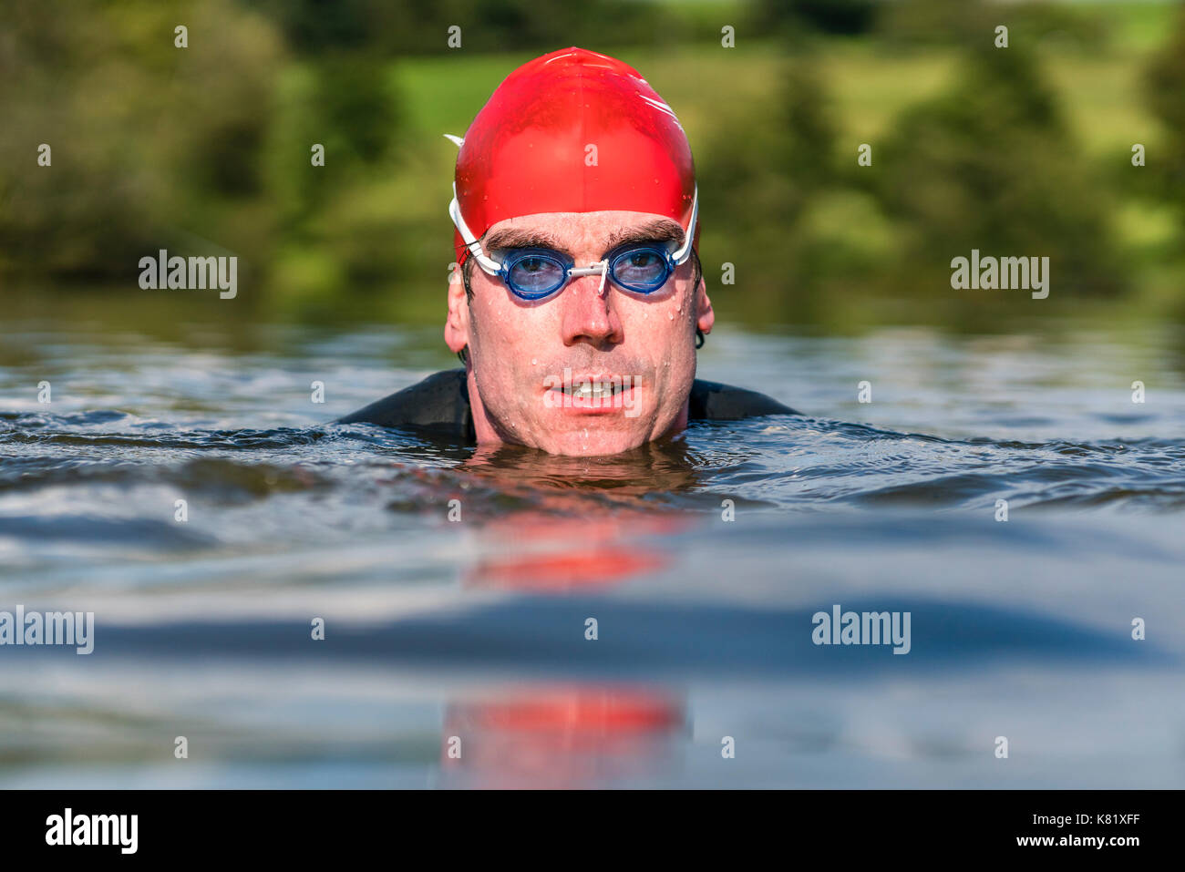 Man, 39 years old, wearing a wetsuit, swimming in the lake, Aichstruter Stausee, Baden-Württemberg, Germany Stock Photo