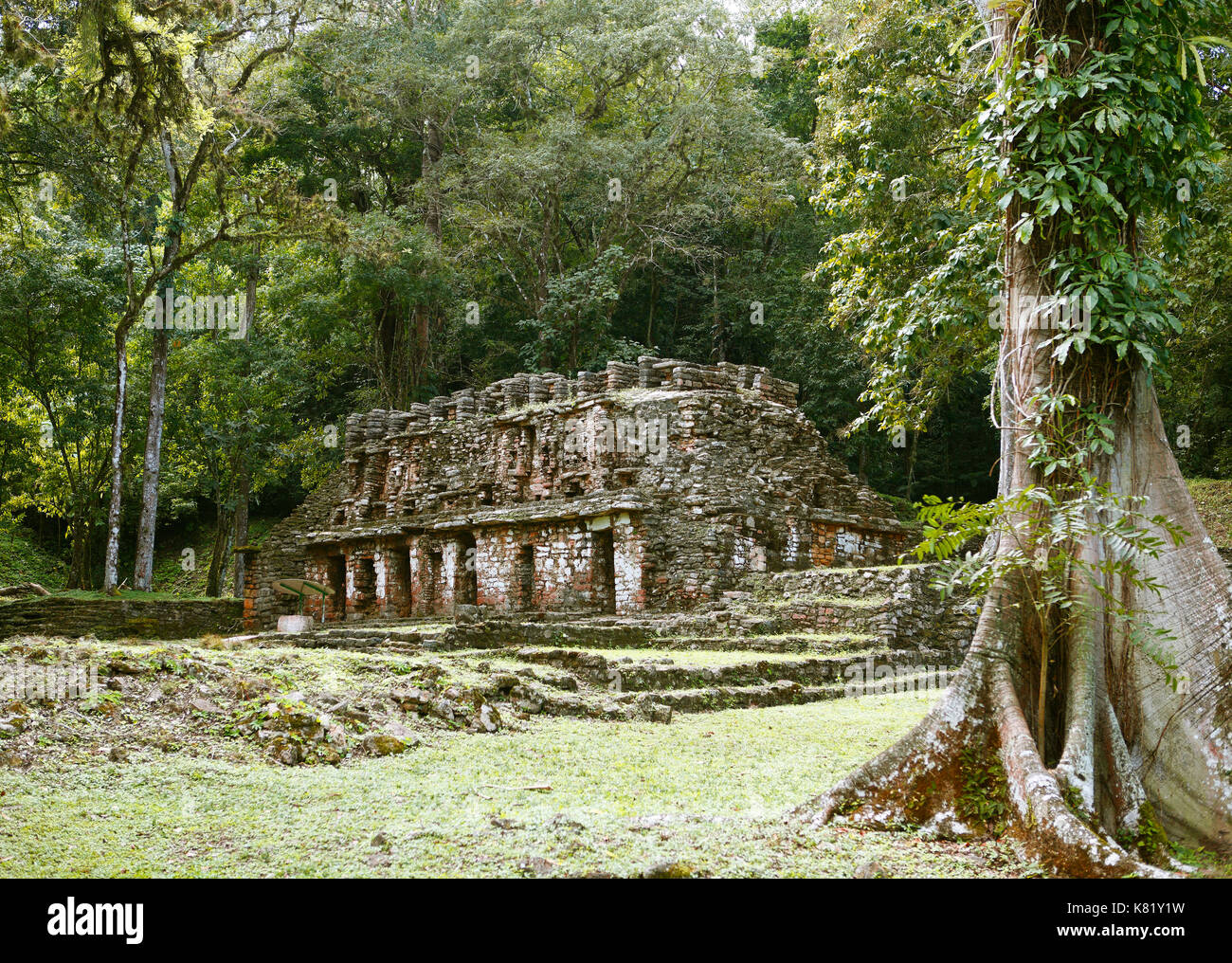 Temple, Yaxchilan, Maya Site, Selva Lacandona, State of Chiapas, Mexico ... image.