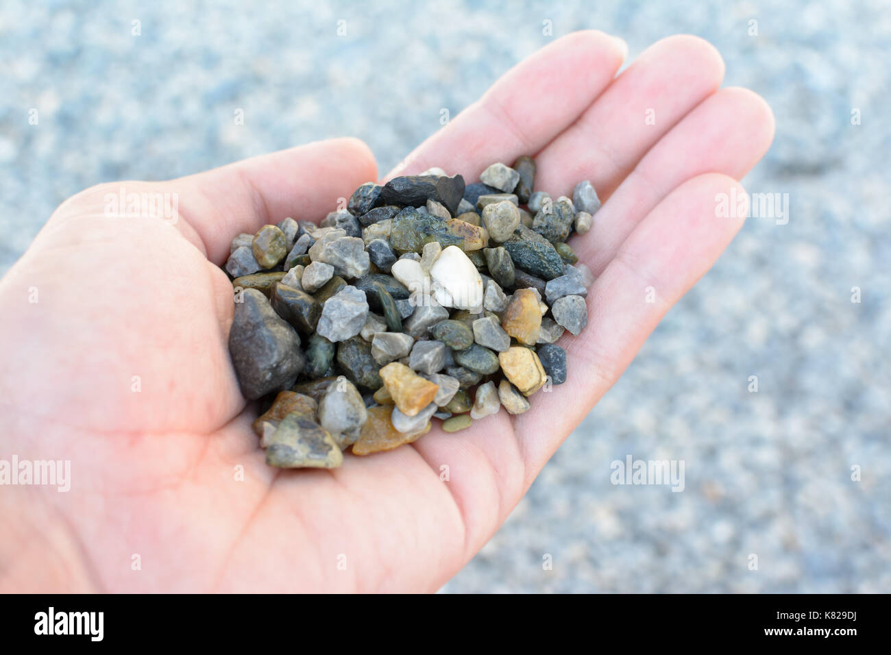 take in hand a set of gravel stones Stock Photo