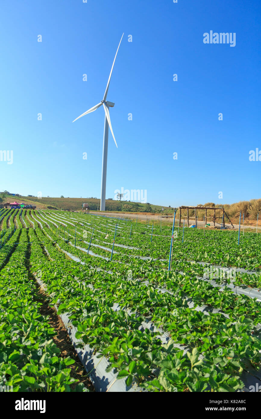 wind turbine with blue sky Stock Photo - Alamy