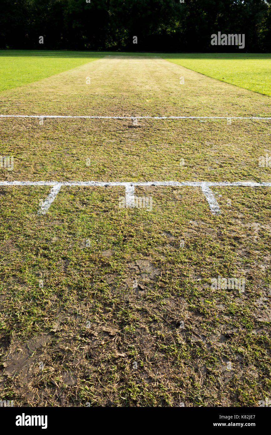 A cricket wicket and crease Stock Photo