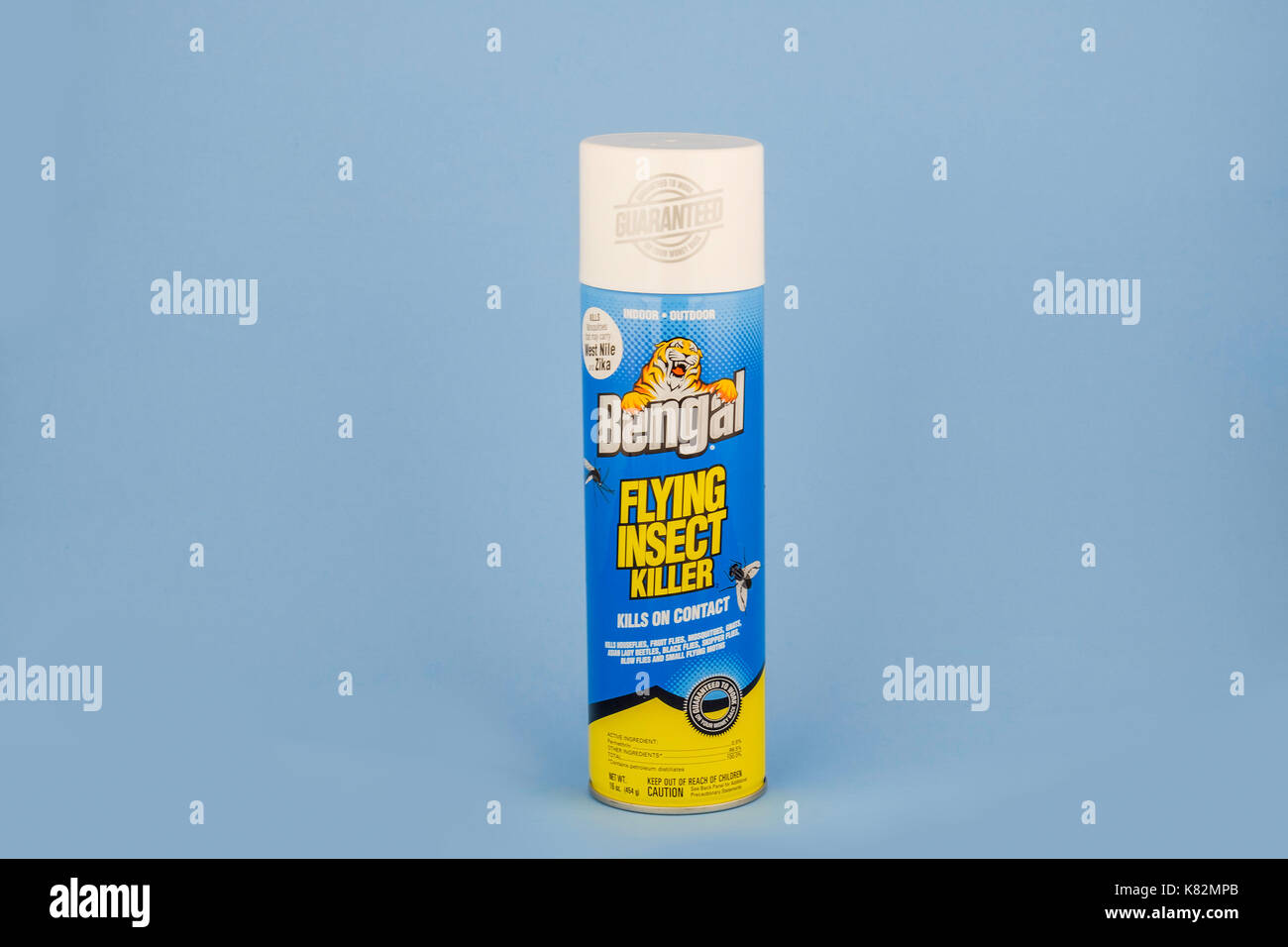 A spray can of Bengal Flying Insect Killer on a blue background. Oklahoma, USA. Stock Photo