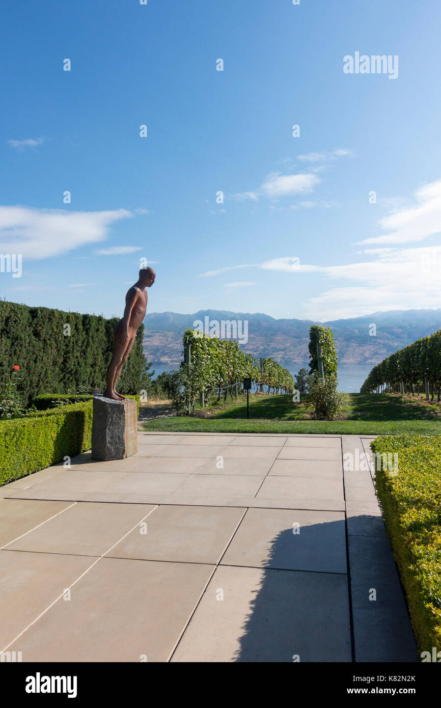 'Encounter' by Icelandic artist Steinunn Thórarinsdóttir is a well-known sculpture of a figure leaning at Mission Hill winery in Kelowna, BC, Stock Photo