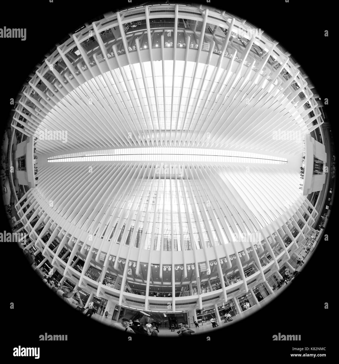 World trade center hub Black and White Stock Photos & Images - Alamy