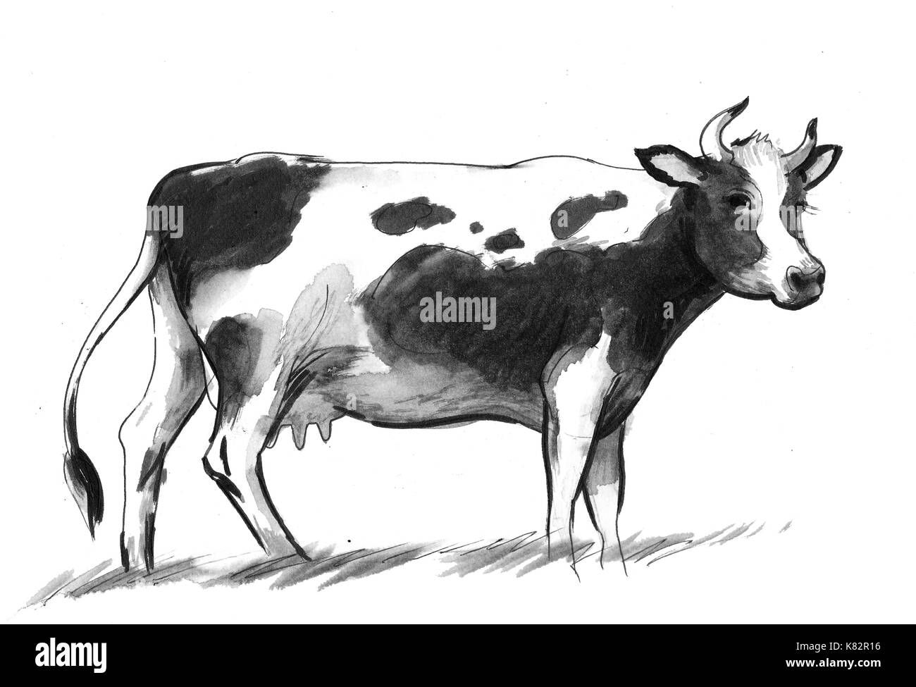 2 Easy Tutorials On How To Draw A Cow For Kids