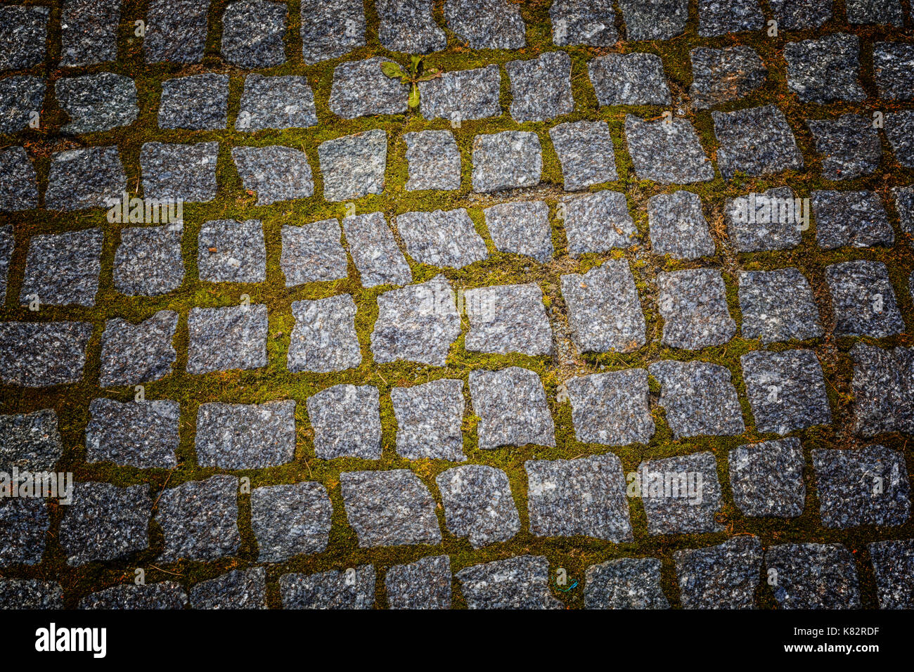 Abstract background of old cobblestone pavement texture with natural ...