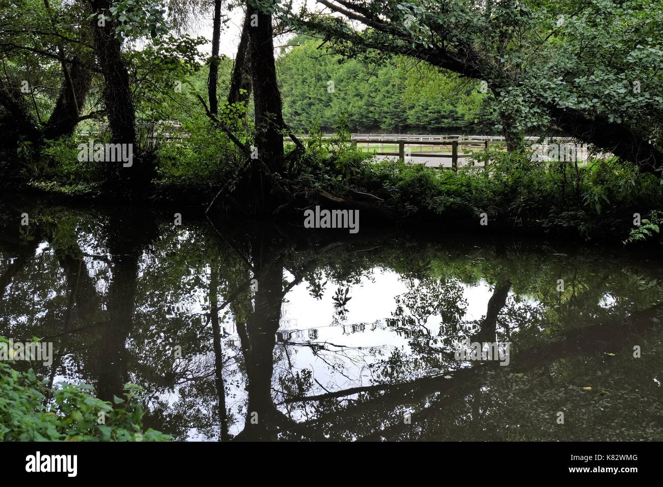 Three Rivers Surrey river Wey surrey town path Stock Photo - Alamy