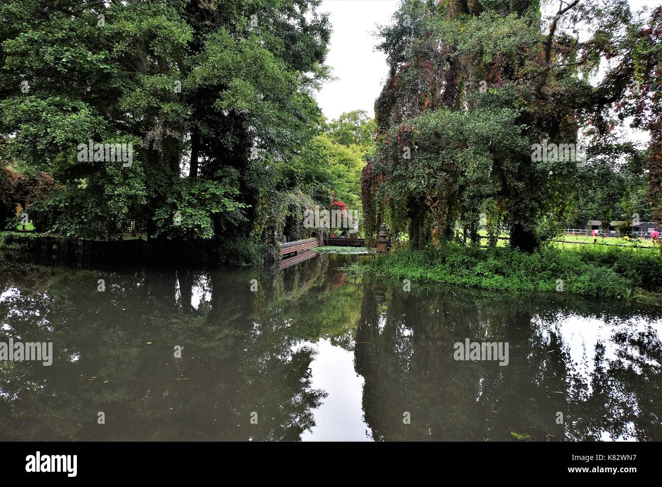 Three Rivers Surrey river Wey surrey town path Stock Photo - Alamy