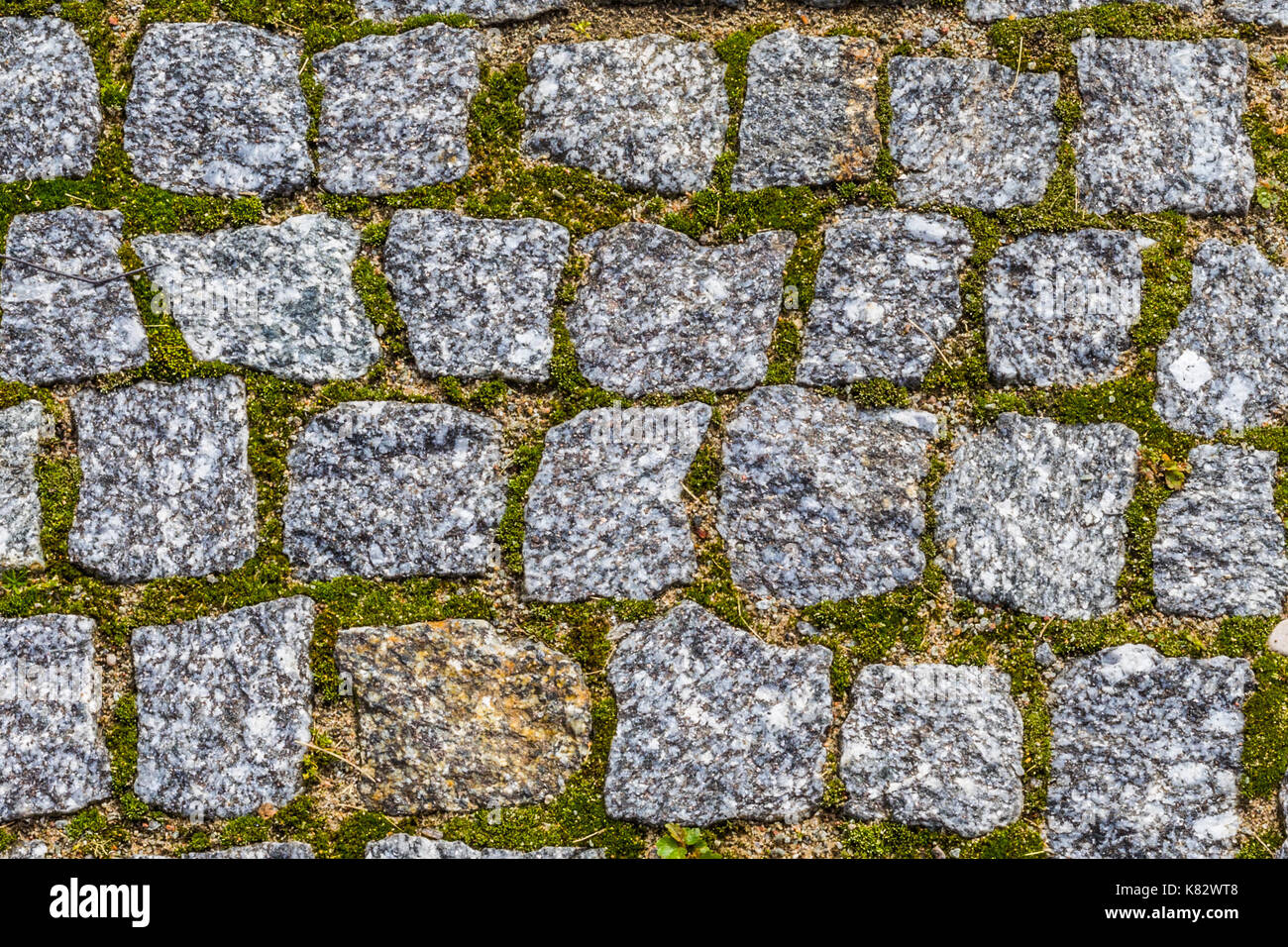 Abstract background of old cobblestone pavement texture with natural ...