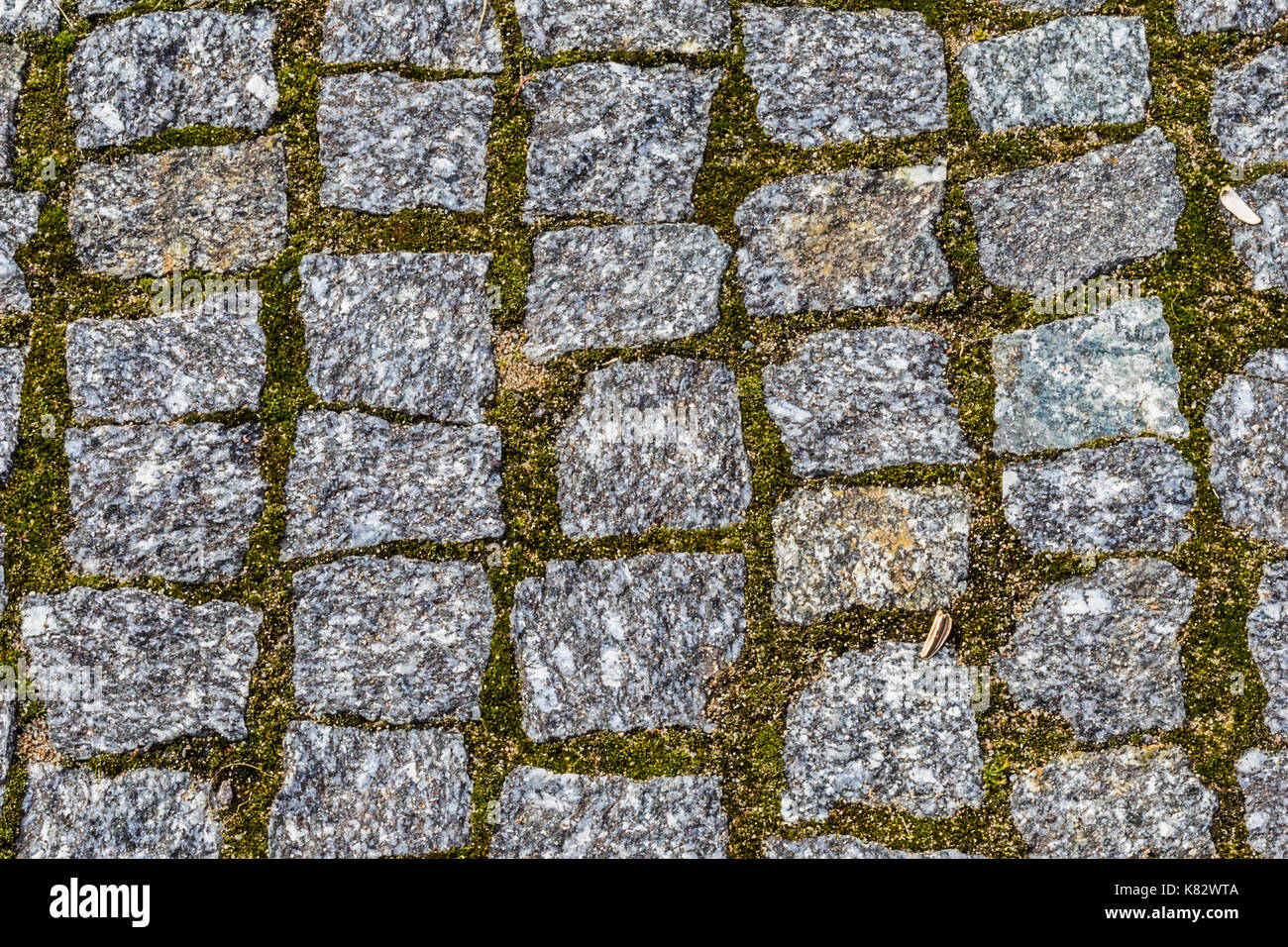 Abstract background of old cobblestone pavement texture with natural ...