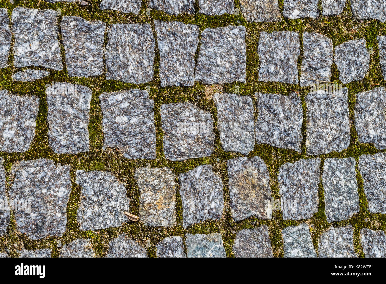 Abstract background of old cobblestone pavement texture with natural ...