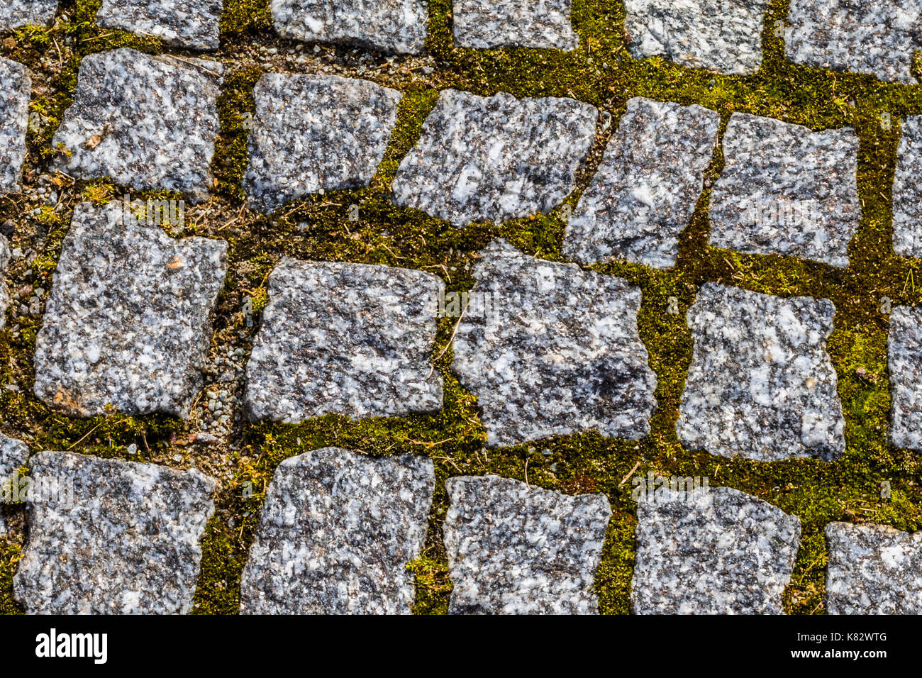 Abstract background of old cobblestone pavement texture with natural ...