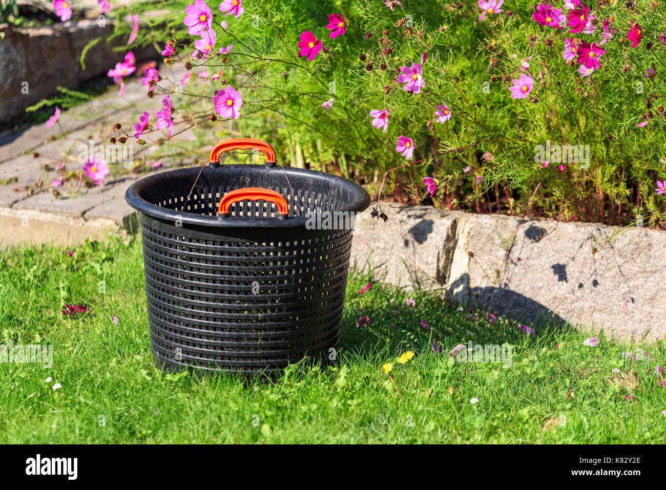 Empty black plastic garden basket on grass with pink flowers behind. Stock Photo