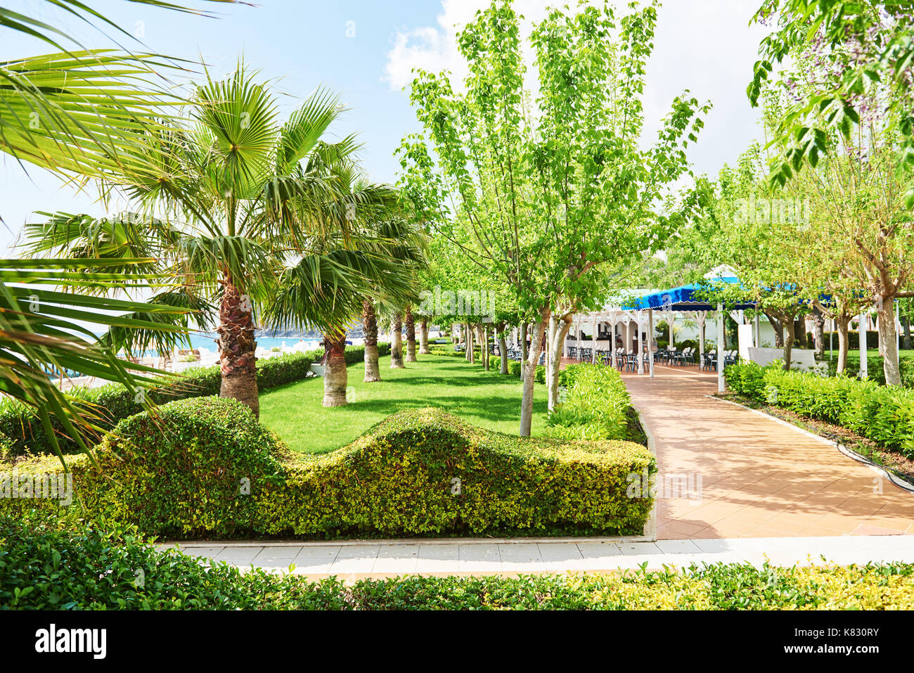 walkway in the summer park with Palm trees Stock Photo - Alamy