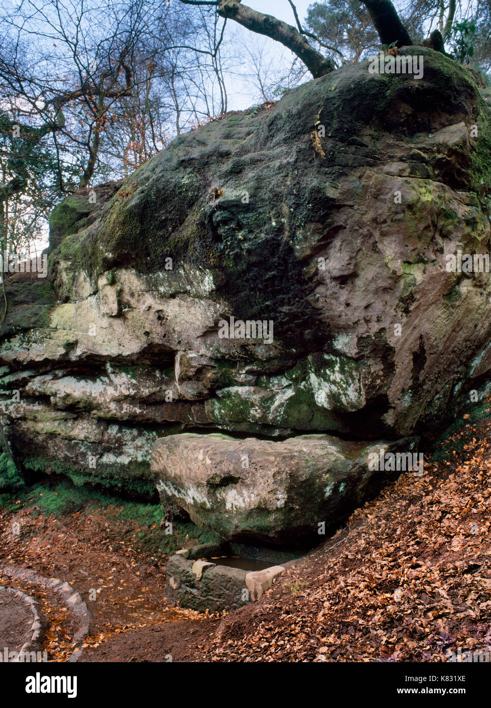 View SE of Merlin's Well (Wizard's Well) on Alderley Edge wooded sandstone escarpment, Cheshire. Water drops from an outcrop bearing Merlin's face. Stock Photo