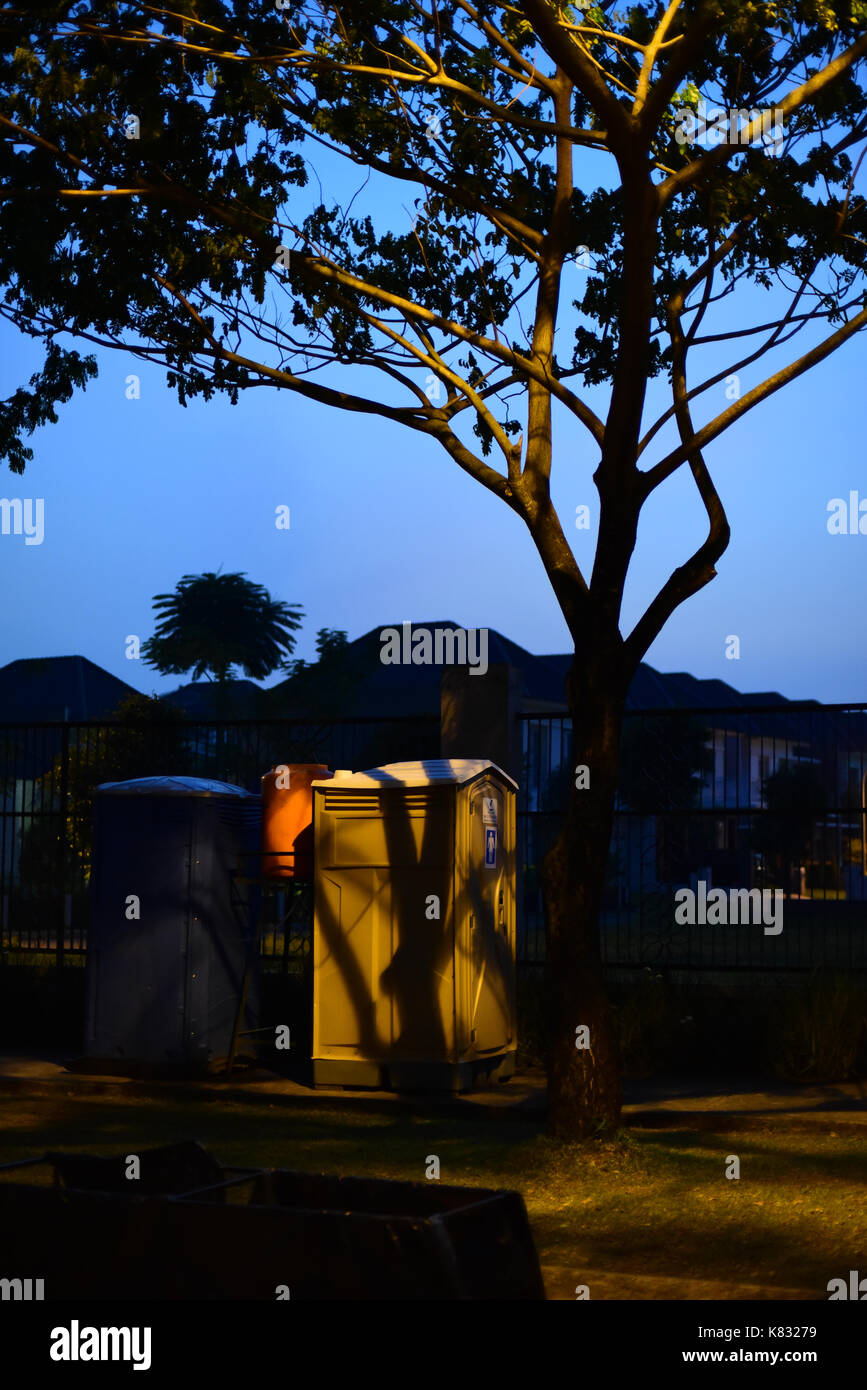 Portable restroom under a tall tree at dawn. Stock Photo