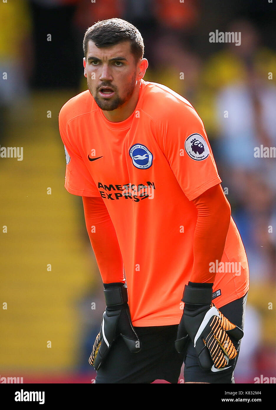 Brighton and Hove Albion's Mat Ryan during the Premier League match at Vicarage Road, Watford