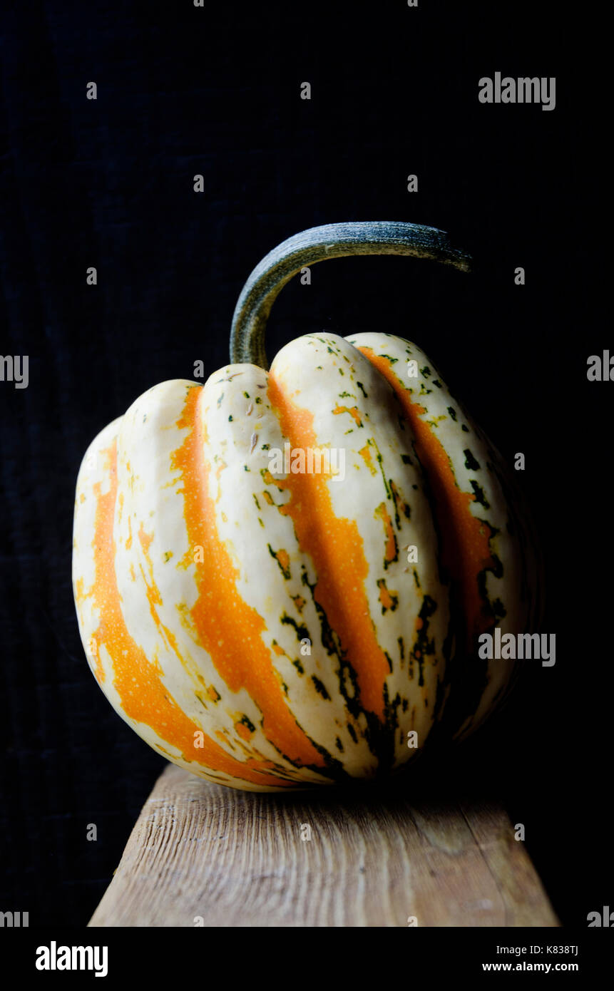 Autumn's Gourd Stock Photo